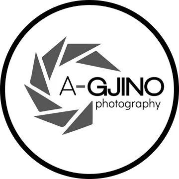 Artur Gjino