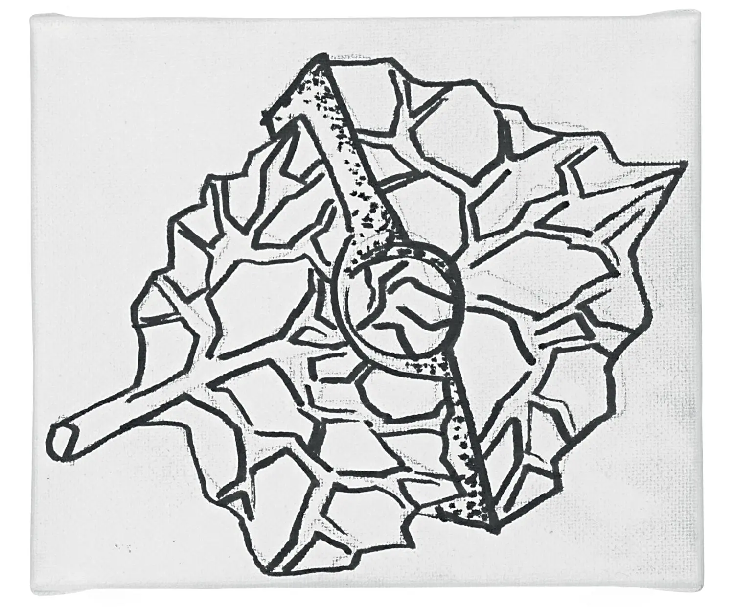 Leaf
