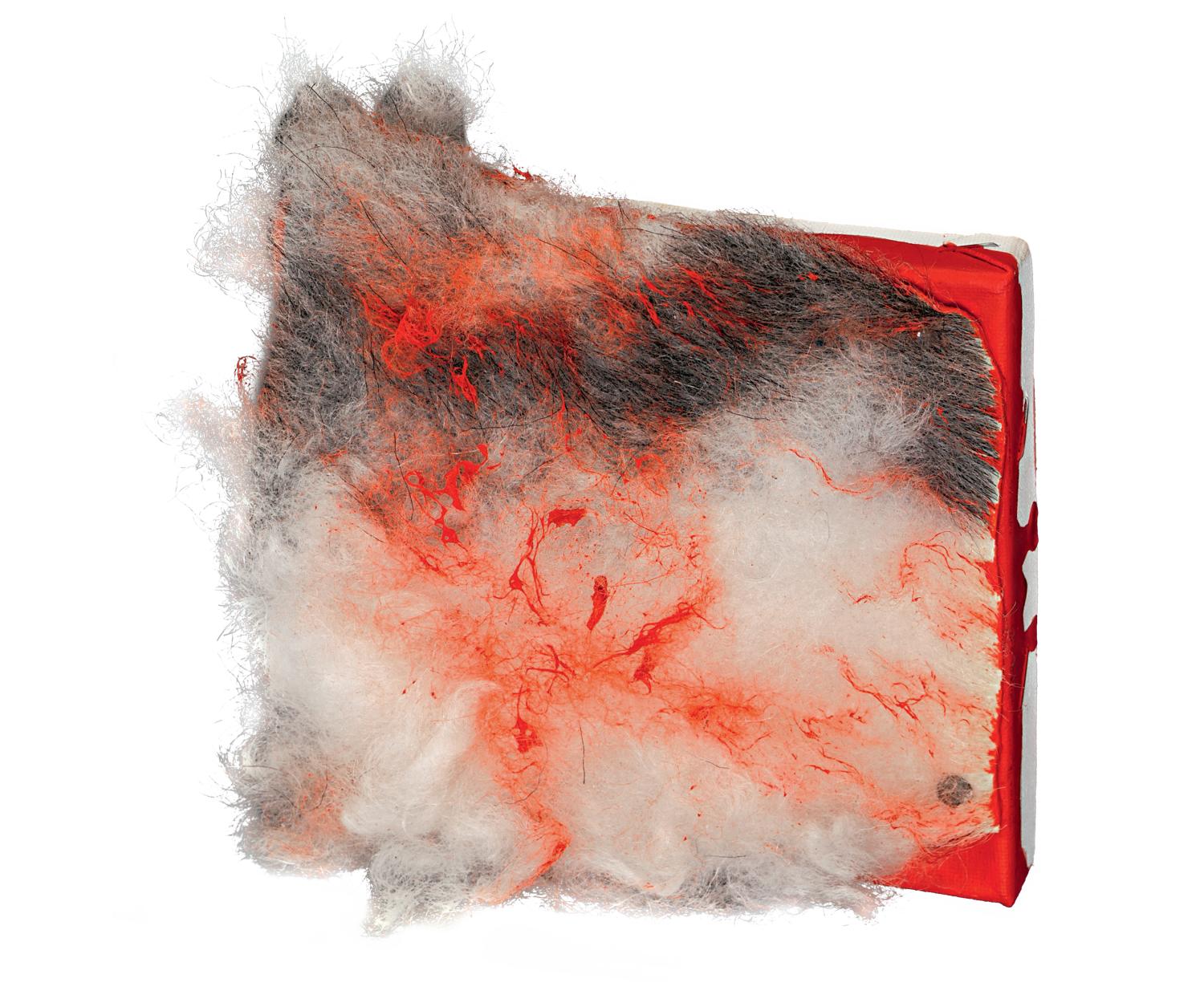 robert_aliaj_dragot_front.png front