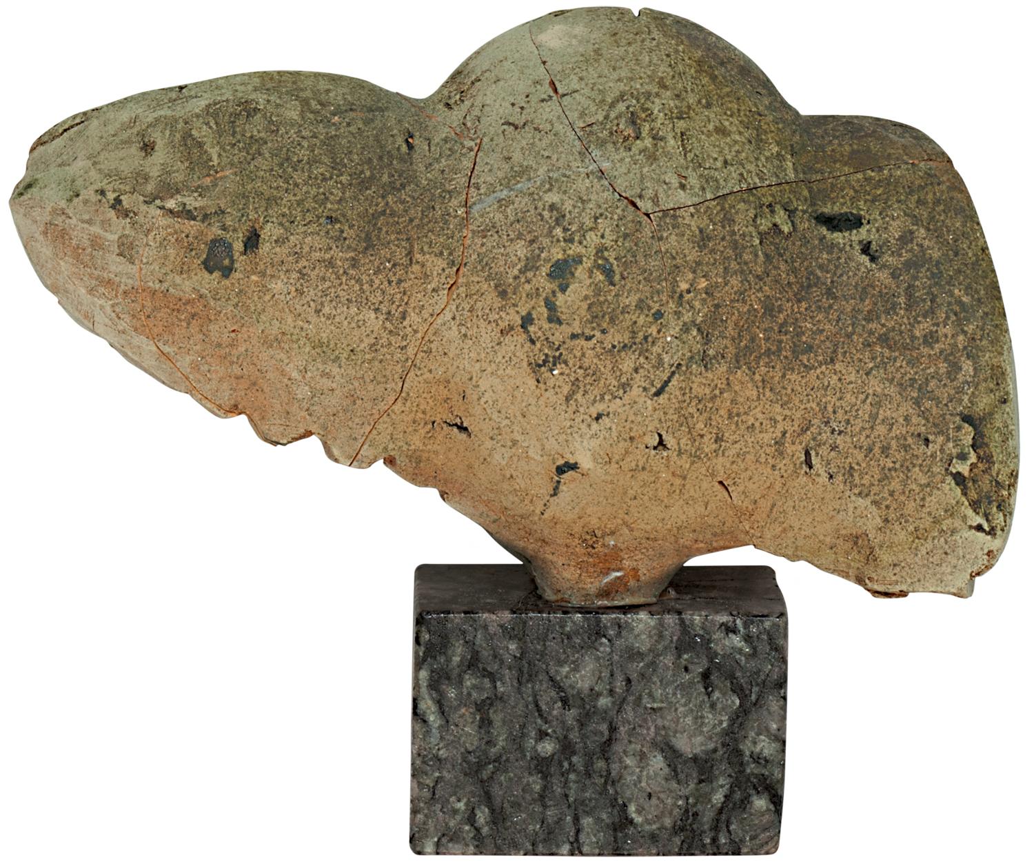 robert_aliaj_dragot_back.png back